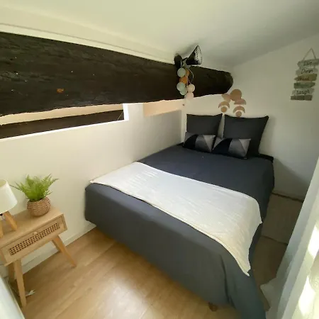 Cosy Apartamento